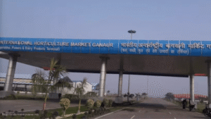 horticulture market in ganaur